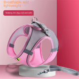 Adjustable Reflective Breathable Mesh Pet Harness for Cats and Dogs with Leash for Outdoor Use - V.I.P Digital Presence
