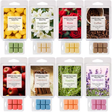 Colorful Eight - scent Scented Wax Cubes Set - V.I.P Digital Presence