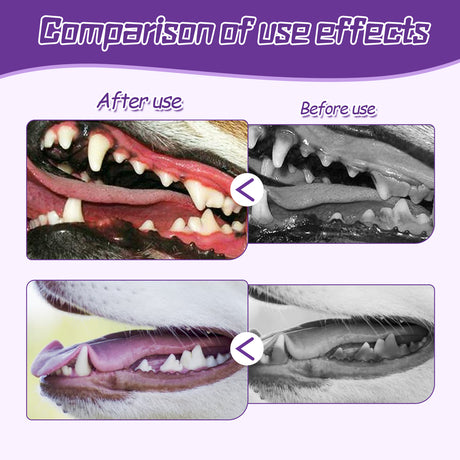 Pet Toothbrush For Dogs, Pet Oral Cleaning Dental Stains Dental Health Care - V.I.P Digital Presence