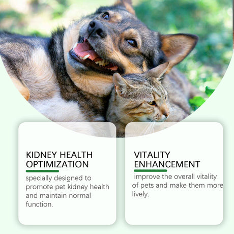 Pet Care Supplement To Enhance The Health Of Pets Gentle Ingredient Care Supplement - V.I.P Digital Presence