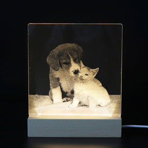 3D Image Internal Carving Laser Acrylic Bedhead Nightlight Plug in - V.I.P Digital Presence