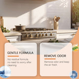 Kitchen Heavy Oil Foam Cleaner Household To Remove Heavy Oil Kitchen Appliances Stain Cleaner - V.I.P Digital Presence