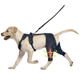 Pet Leg Support Dog Knee Brace Post-Surgery Rehabilitation Knee Support Joint Protection Bandage - V.I.P Digital Presence