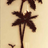 3D Coconut Tree Acrylic Mirror Wall Sticker For Children's Room Dining Room Living Room DIY TV Wall Background Home Decoration - V.I.P Digital Presence