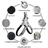 PawFit Dog Harness Leash