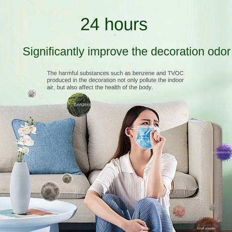 Formaldehyde Removal Jelly New House Household Odor Removal Agent Powerful Air Purifier Magic Box Artifact Decoration - V.I.P Digital Presence
