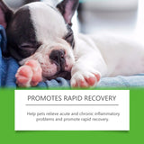 Dietary Supplements For Dogs, To Promote Pet Health Pet Dogs Special Dietary Supplements - V.I.P Digital Presence