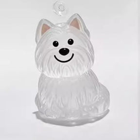 A transparent DIY pet hair memorial keychain box, a sweet keepsake for dog lovers. - V.I.P Digital Presence