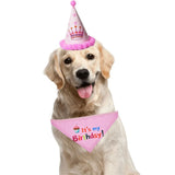2Pcs/Set Dog Hat Bib Dog Birthday Bandana Scarf Adjustable Bandana Neckerchief Cat Dog Birthday Bib Hat Pet Supplies - V.I.P Digital Presence