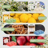 Colorful Eight - scent Scented Wax Cubes Set - V.I.P Digital Presence