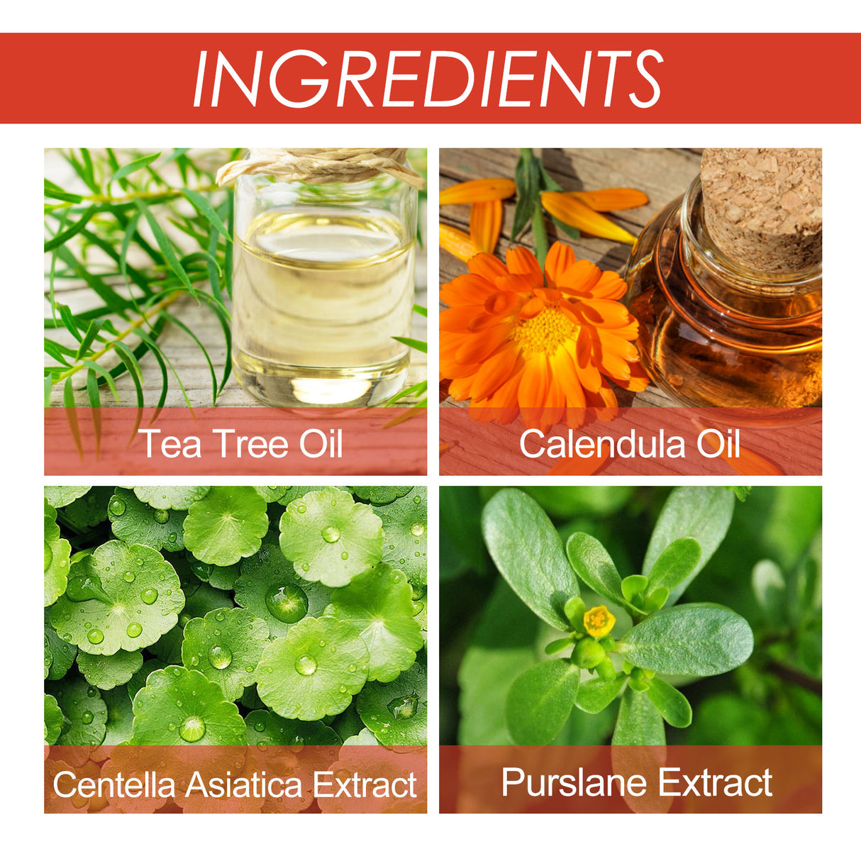 Acne Patch, Skin Clean Acne Pimple Moles Gram Wart Corns Spot Patch - V.I.P Digital Presence