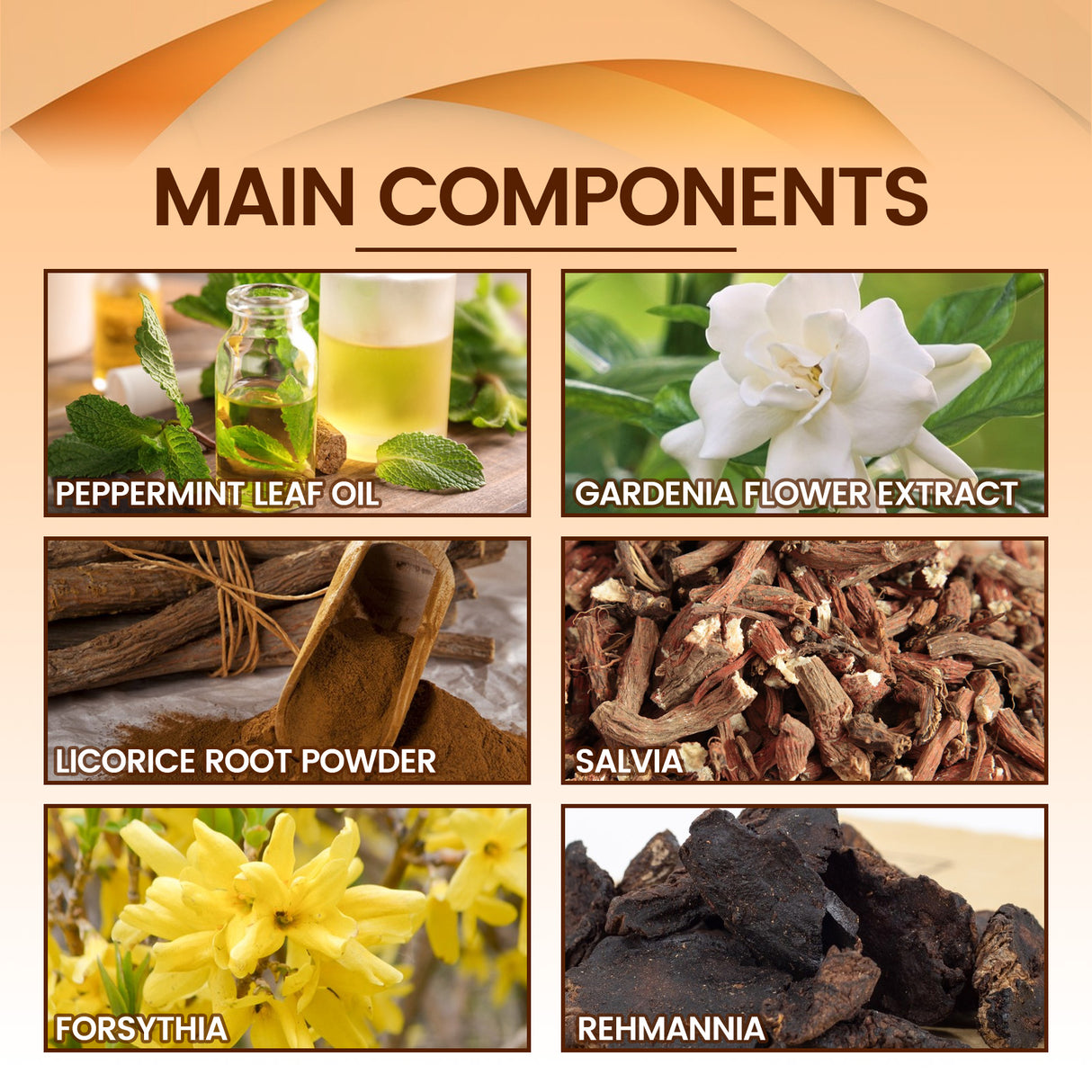 Kidney Care Patch, Relieve Lumbar Joint Pain Body Discomfort Health Care Navel Patch - V.I.P Digital Presence