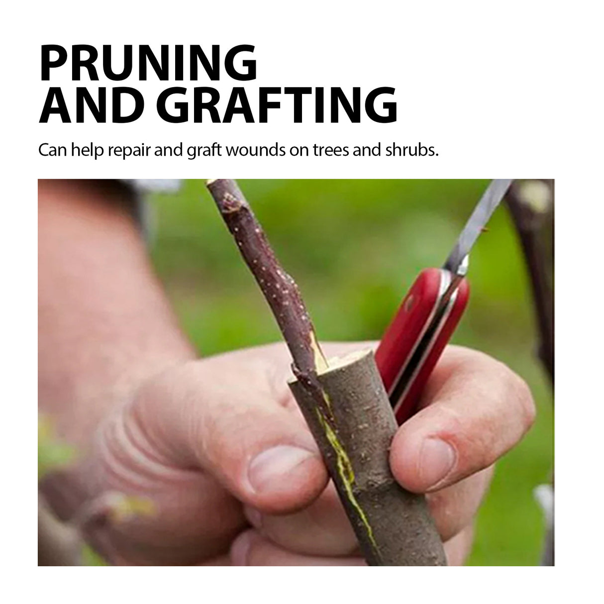 Tree Wound Dressing, Seed Fruit Tree Callus Supplement Root Plant Application Agent - V.I.P Digital Presence