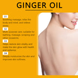 Ginger Massage Essential Oil, Ginger Care Essence Oil Body Massage Daily Care Firming Skin - V.I.P Digital Presence