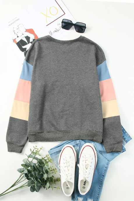 Color Block Round Neck Long Sleeve Sweatshirt - V.I.P Digital Presence
