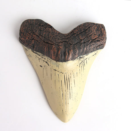 Resin crafts, retro simulation shark teeth, animal teeth, auspicious indoor decoration ornaments - V.I.P Digital Presence