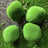 Mossy Stone Artificial Green Stone Mossy Rock Flower Arrangement Material - V.I.P Digital Presence