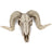 Horned Skull Wall Hanging Creative Home Living Room Decor Retro Resin Craft - V.I.P Digital Presence