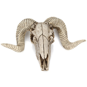 Horned Skull Wall Hanging Creative Home Living Room Decor Retro Resin Craft - V.I.P Digital Presence