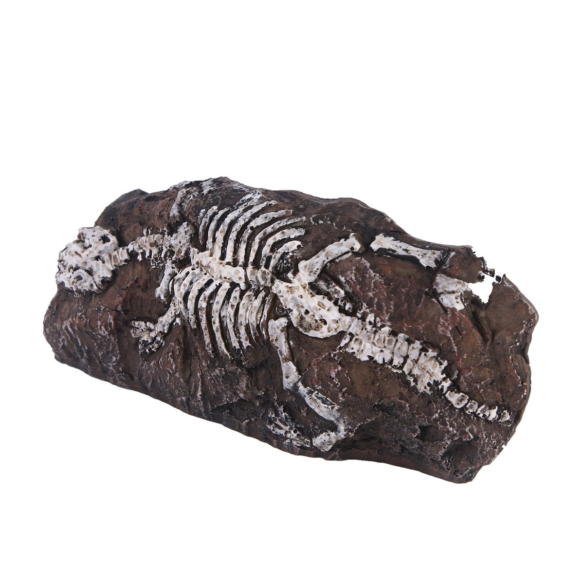 Fossil aquarium fish tank resin ornaments - V.I.P Digital Presence