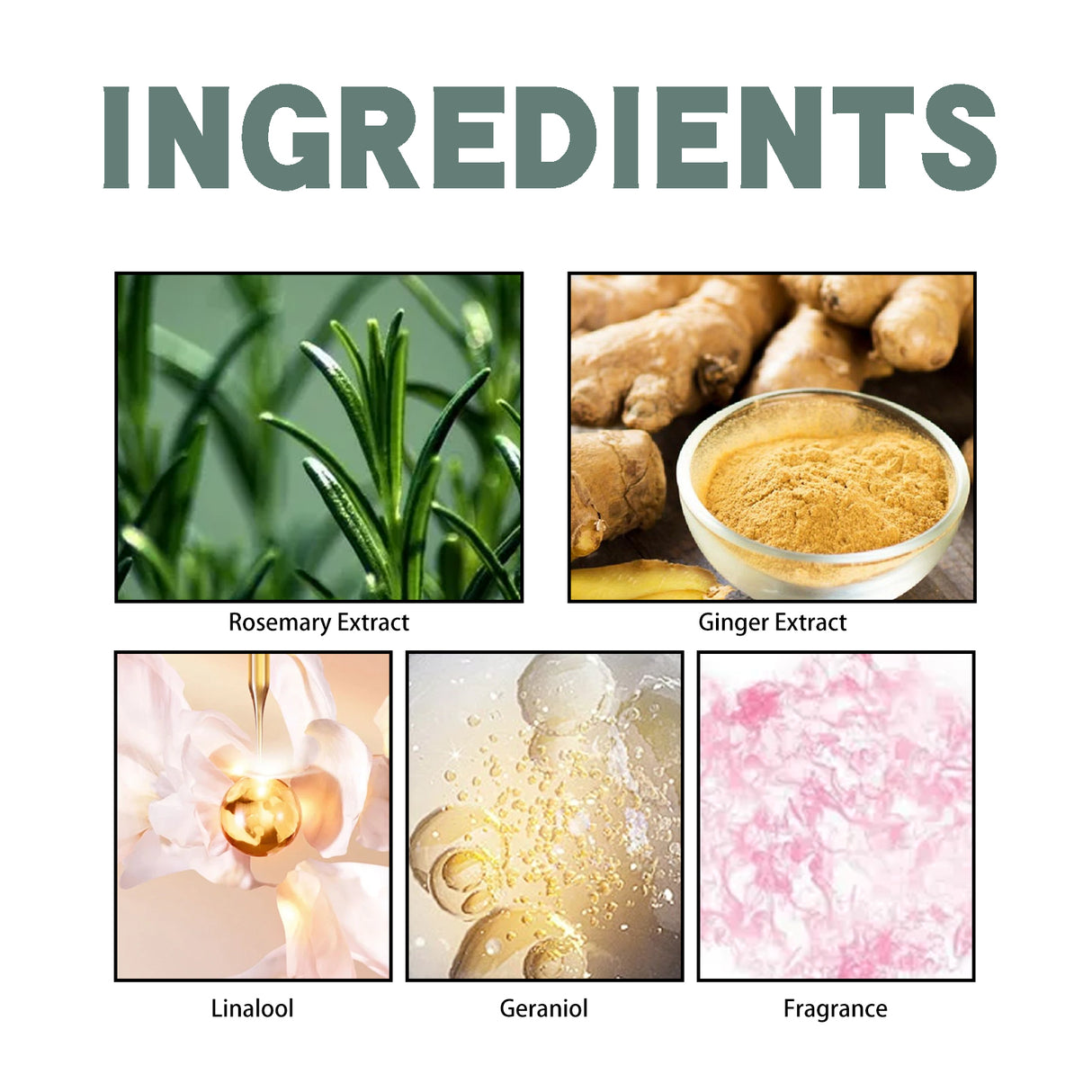 Rosemary Ginger Scent Experience Perfume, Natural Fragrance Behind The Ear And Wrist For Women - V.I.P Digital Presence
