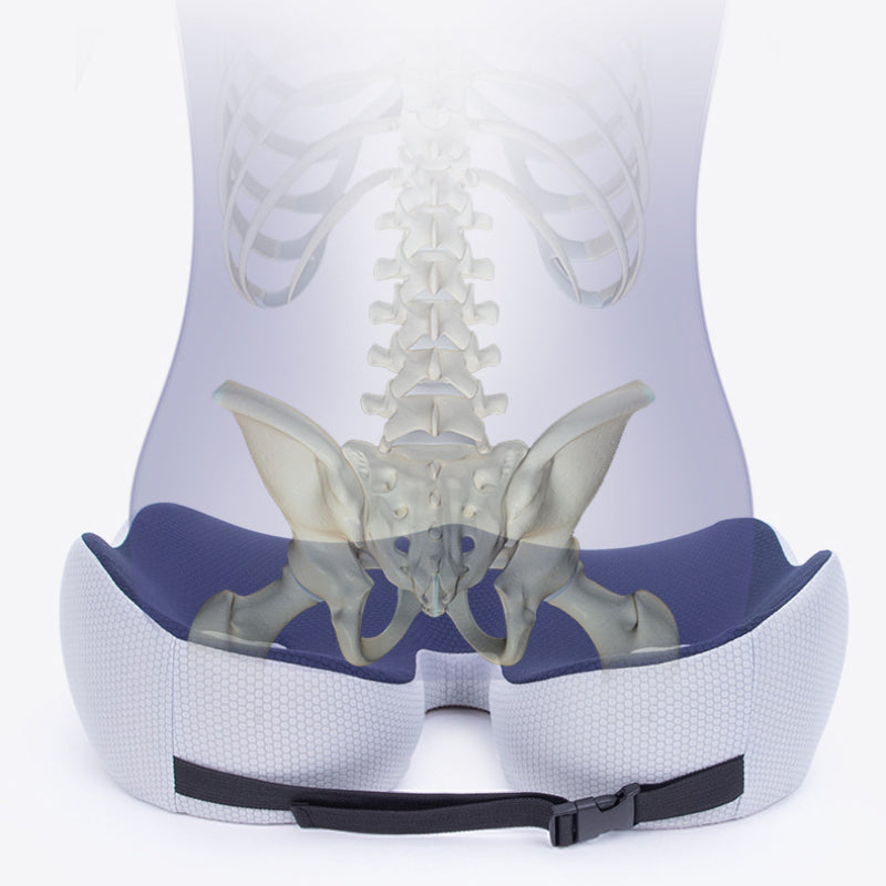 Chair Hip Cushion Hemorrhoids Cushion Fart Cushion Breathable Cushion Thick Office Long Sitting Memory Cotton Cushion - V.I.P Digital Presence