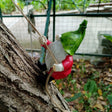 Climbing Elf Balcony Courtyard Decoration Pendant - V.I.P Digital Presence