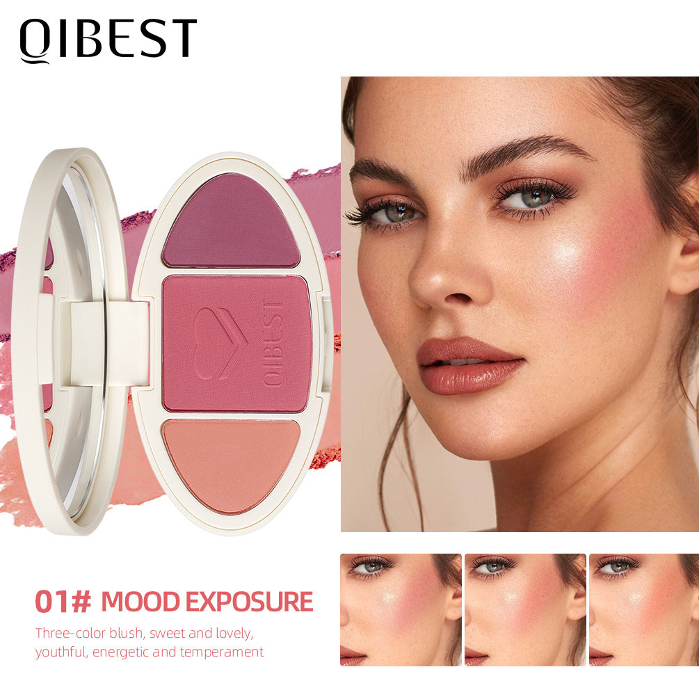 QIBEST High Gloss Repairing All-In-One Plate Matte Brightening Glitter Powder Blush Rouge Plate Powder Cake Repairing Plate - V.I.P Digital Presence