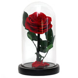 Christmas Valentine's Day Creative Gift Gift for Girlfriend Glass Cover Eternal Flower Gift Box Eternal Rose Gift Ornament - V.I.P Digital Presence
