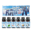 Cleansing Essential Oil Set, Fresh Natural Humidifier Essential Oil Lasting Essential Oil Perfume Oil - V.I.P Digital Presence