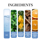 Mint Perfume Fresh And Elegant Natural Charming Aroma Lasting Fragrance Conditioning Mint Perfume - V.I.P Digital Presence