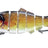 10cm 16.5g Multi-section Lure With Ring Beads Simulation Luya Multi-section Lure Submerged Bionic 6-section Lure - V.I.P Digital Presence