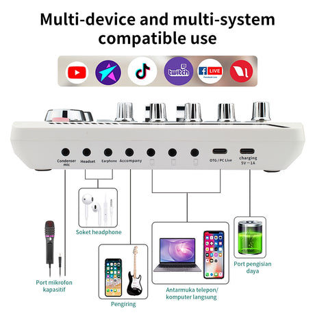F998Pro live singing sound card white English version intelligent noise reduction integrated microphone - V.I.P Digital Presence