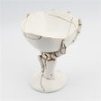 Skeleton Hand Home Miscellaneous Collection Toto Cosmetic Sorting Box - V.I.P Digital Presence