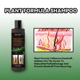 Tinea Capitis Anti-Itch Shampoo Anti-Drop Refreshing Oil Control Hair Care Anti-Dandruff Anti-Itch Shampoo - V.I.P Digital Presence