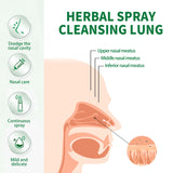 Herbal Spray Cleansing Lung, Soothe Throat And Nose Discomfort, Moisten Throat And Clear Nose Care Spray - V.I.P Digital Presence