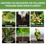 Plant Nutrient, Flower Pot Lawn Green Leaf Plant Fertilizer Root Growth Nutrient - V.I.P Digital Presence