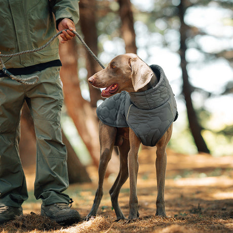 Thick and warm dog clothing outdoor cotton coat vest for winter warmth - V.I.P Digital Presence