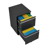 Metal 2 drawer mobile file cabinet with lock, 25.6-inch high legal/letter size file storage cabinet  black - V.I.P Digital Presence