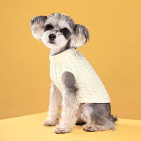 Autumn and winter pet dog cat warm solid color classic Fried Dough Twists sweater thickened turtleneck sweater - V.I.P Digital Presence