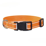 Nylon Dog Collar and Leash Set Pet Collars Leash for Small Medium Large Dogs Dog Accessories for Small Dogs - V.I.P Digital Presence