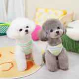 Teddy Schnauzer Pocket Tank Top - V.I.P Digital Presence