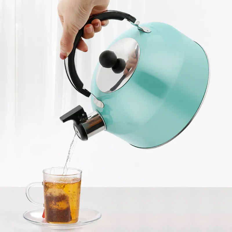 A 3L stainless - steel kettle for gas heating. It features a whistle and a comfortable handle, suitable for cooking and tea. - V.I.P Digital Presence