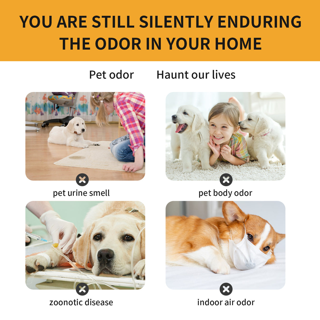 Pet Fabric Deodorizer Spray, Fresh Air Clean Pet Odors Indoor Air Fresh Long-Lasting Deodorant - V.I.P Digital Presence