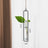 Scandinavian-Style Glass Hydroponic Vase for Living Room with Creative Hanging Door Decor and Wall Ivy Plant Water Cultivation Transparent Pot - V.I.P Digital Presence
