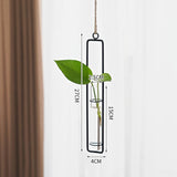 Scandinavian-Style Glass Hydroponic Vase for Living Room with Creative Hanging Door Decor and Wall Ivy Plant Water Cultivation Transparent Pot - V.I.P Digital Presence