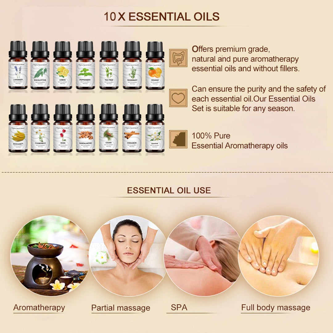 14 Piece Cross border Unilateral Essential Oil Set Box Unisex 14 Pack Body Set 10ml - V.I.P Digital Presence