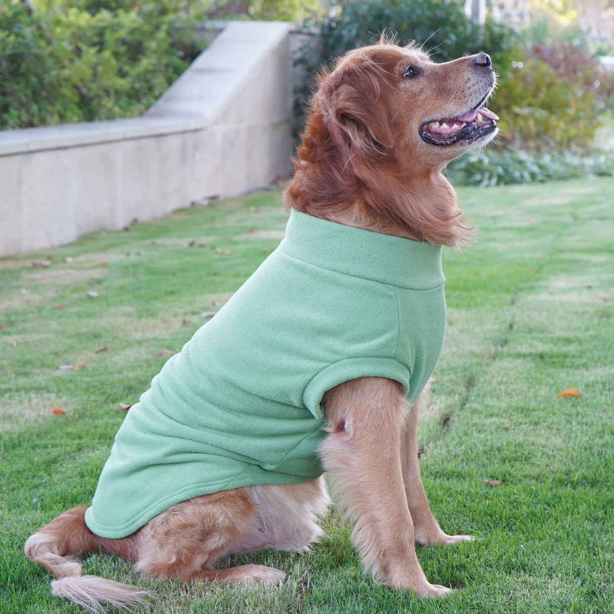 Pet Labrador Golden Retriever Dog Clothes Large Breed Winter Warm Pet Clothes European and American Cross-border Wholesale - V.I.P Digital Presence