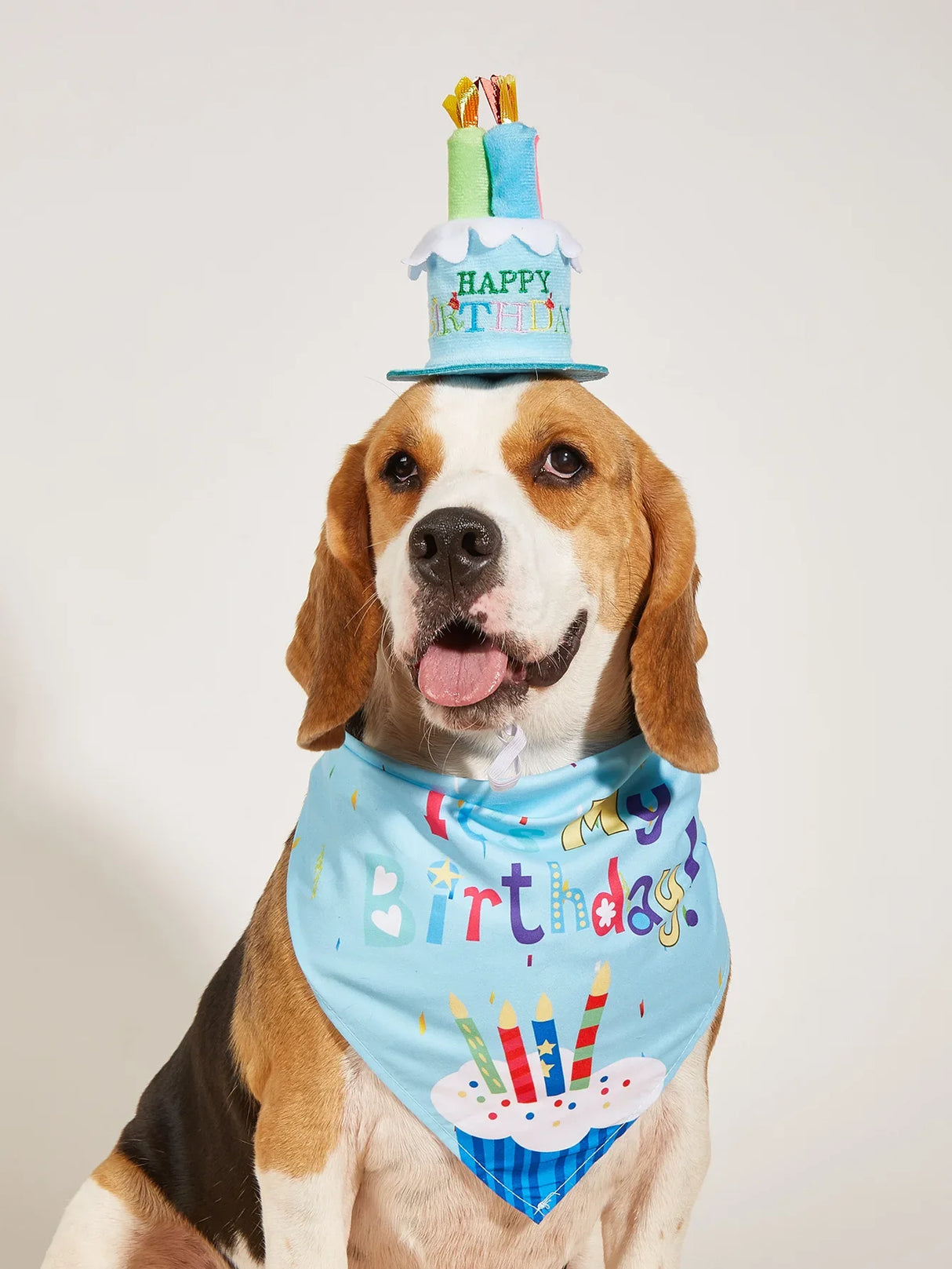 Dog Happy Birthday Decoration Dog Costume Hats Bowknot Bandana Neckerchief Bibs Banners Party Cat Dog Pets Accessories Perros - V.I.P Digital Presence