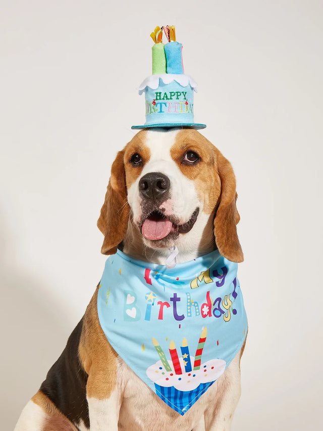 Dog Happy Birthday Decoration Dog Costume Hats Bowknot Bandana Neckerchief Bibs Banners Party Cat Dog Pets Accessories Perros - V.I.P Digital Presence